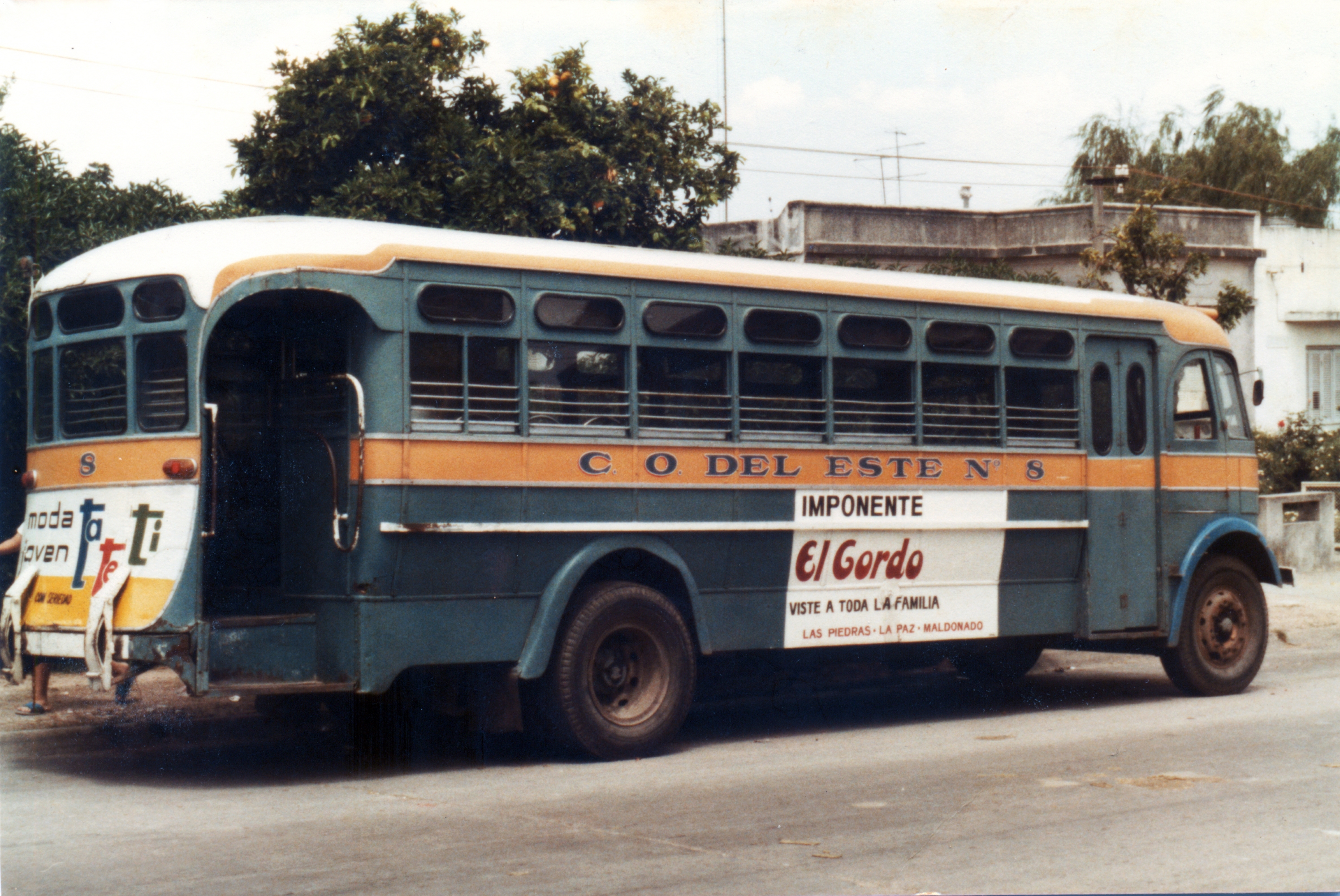 omnibus 8
