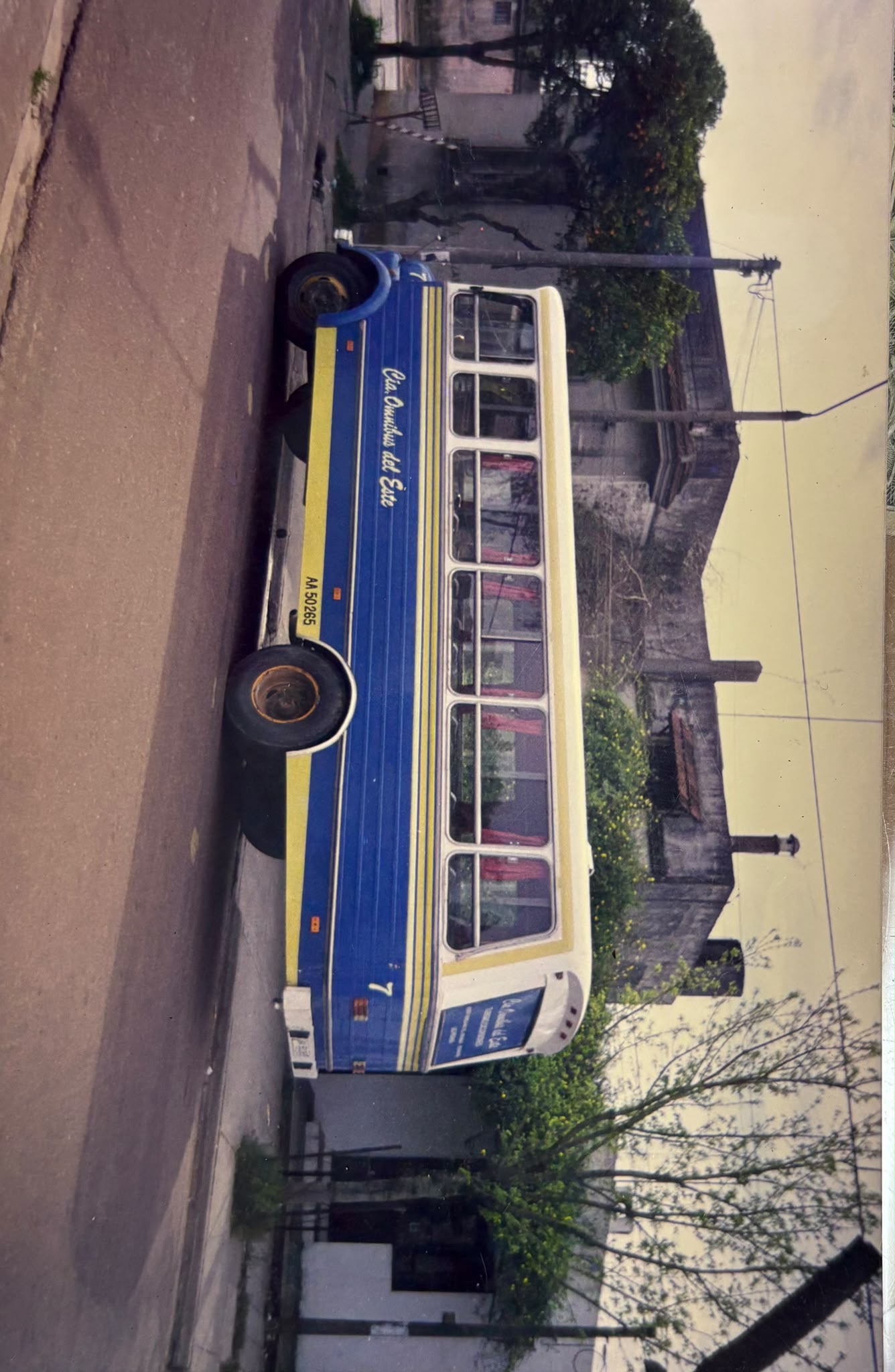 omnibus