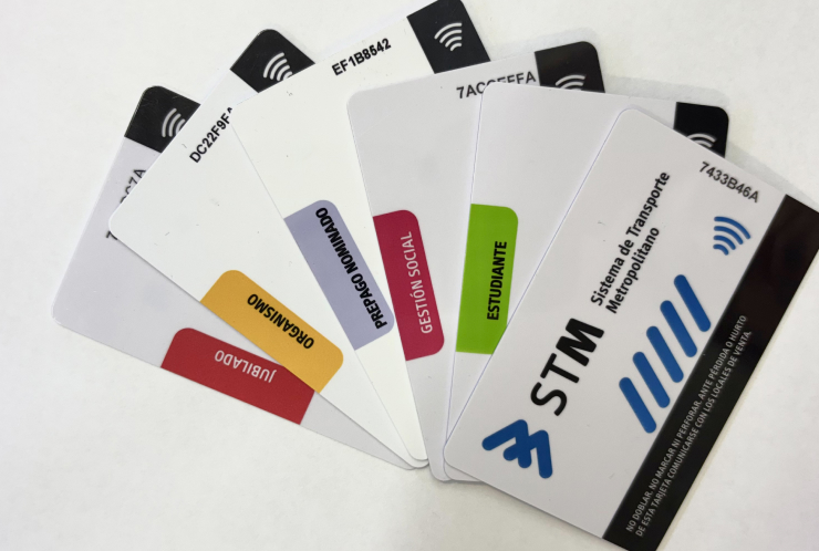 Tarjetas STM